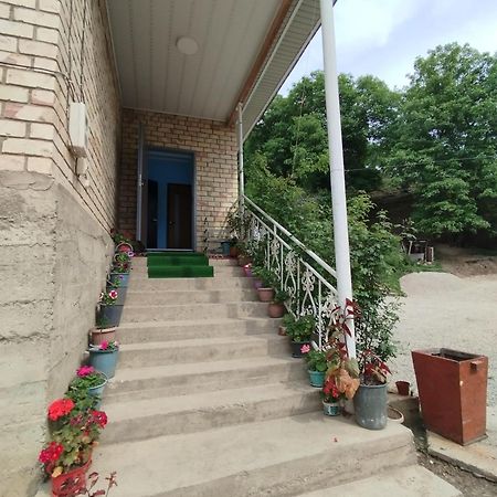 Guest House Kyzyl Alma Arkit Exterior foto